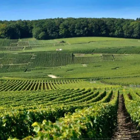 Appartamento Au Coeur Du Vignoble Champenois Ay-Champagne Esterno foto