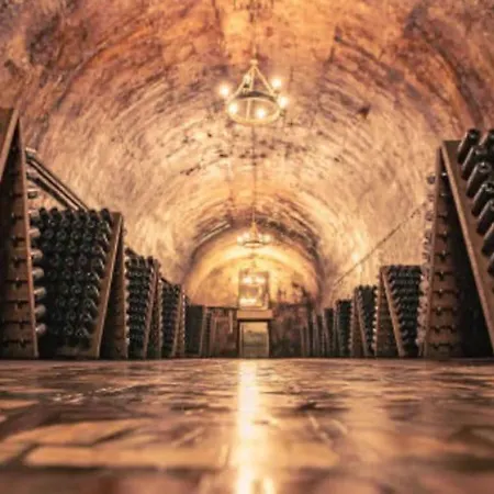 Appartamento Au Coeur Du Vignoble Champenois Ay-Champagne Esterno foto