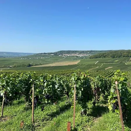 Appartamento Au Coeur Du Vignoble Champenois Ay-Champagne Esterno foto
