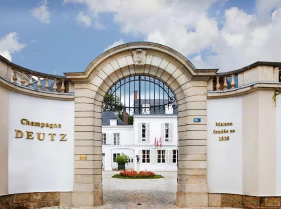 Au Coeur Du Vignoble Champenois Ay-Champagne